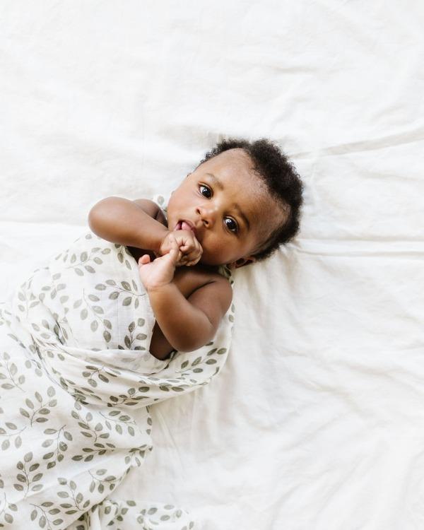 a cute littla cute and and adorable baby boy looking at the camera snuggly wrapped in his summer swaddle the leaves sage green muslin cotton.