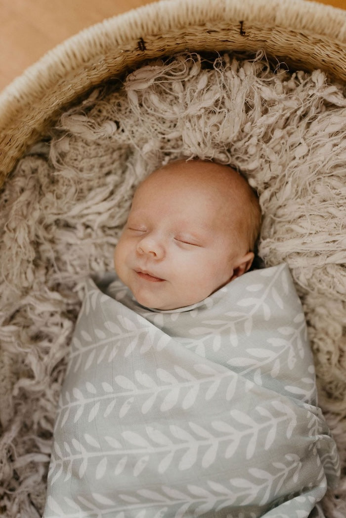 baby boy sleeping soundly in a baby bassinet covered with cottony soft fabric wrapped with the tapestry boy swaddle