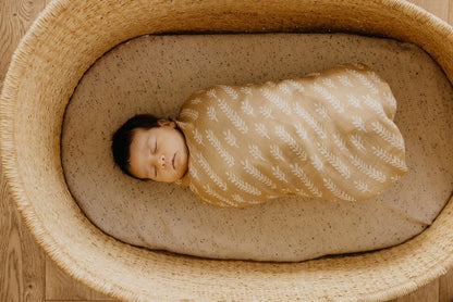 an adorable photo of a baby wrapped in a cream baby blanket sleeping comfortably in the baby bassinet