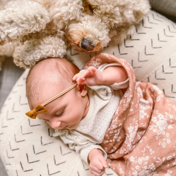 A baby in a sienna-colored swaddle resting on a pillow with her stuff toy dog.