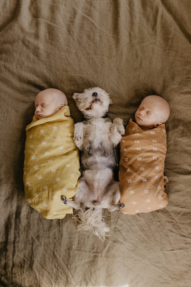 newborn twins sleeping, wrapped in a boho baby blanket with their dog lying flat in between the two babies
